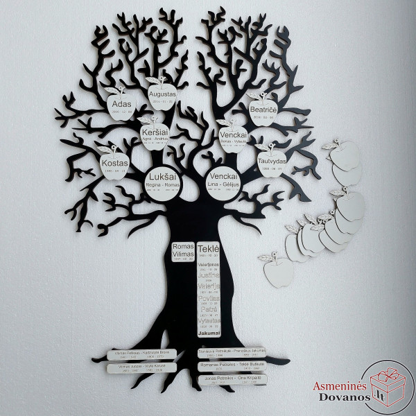 Pakabinamas genealoginis medis (80 x 55 cm)
