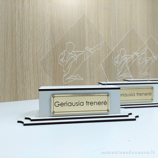 Apdovanojimas, statulėlė karate mokytojui, ar čempionui, sporto varžyboms.