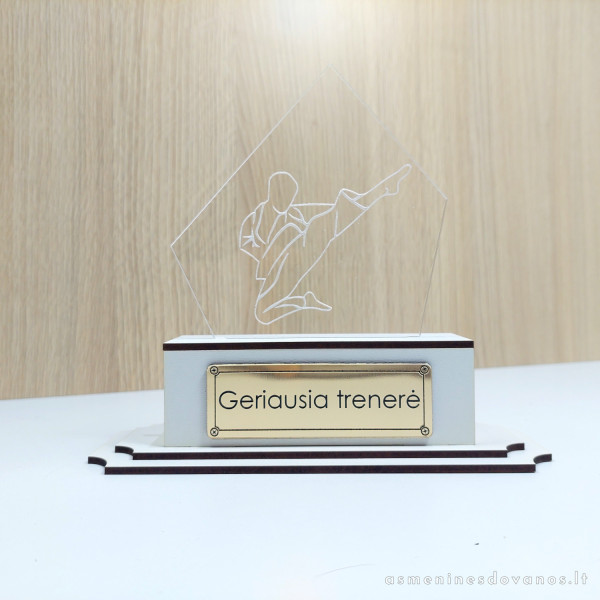 Apdovanojimas, statulėlė karate mokytojui, ar čempionui, sporto varžyboms.