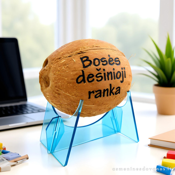 Graviruotas kokoso riešutas ant stovelio