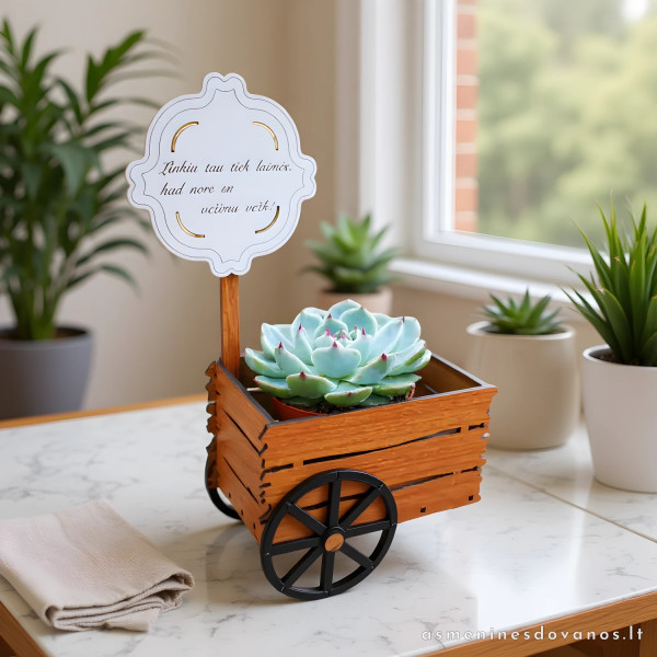 Dekoratyvinis vazonėlis vežimo formos, tinka kaip smagi dovanėlė