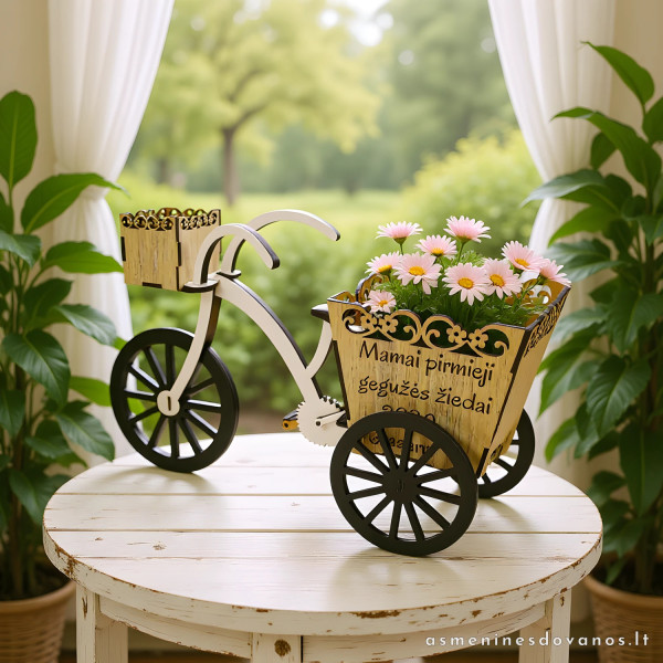 Dekoratyvinis vazonėlis triratuko formos, labai išvaizdi dovanėlė