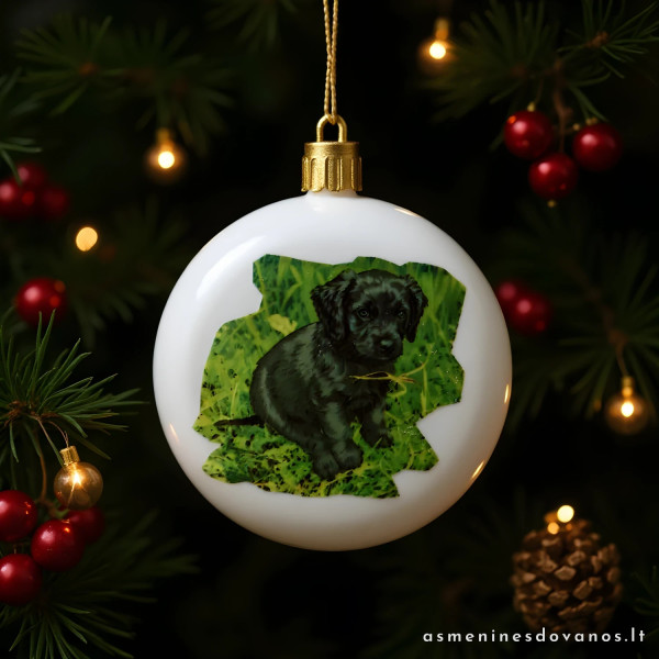 Kalėdinis žaisliukas baltos spalvos, spausdinta metų tematika.