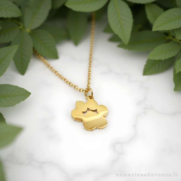 Nerūdijančio plieno pakabukas su grandinėle pėdutė auksinės spalvos.