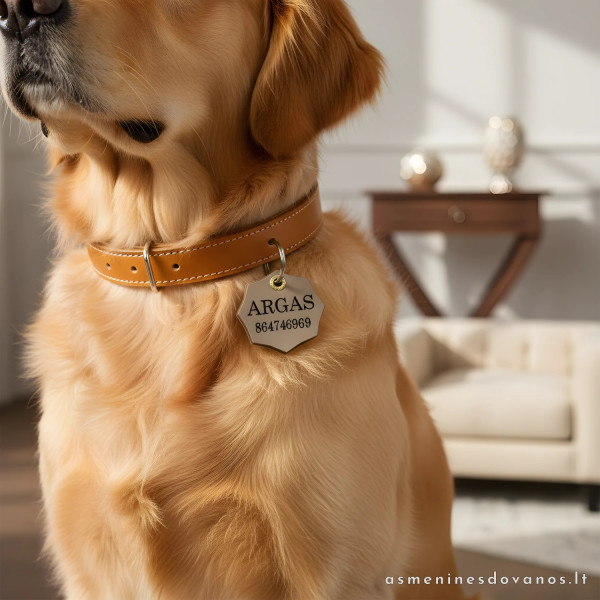 Odinis pakabukas šunims ir katėms. Graviruotas telefono numeris vardas