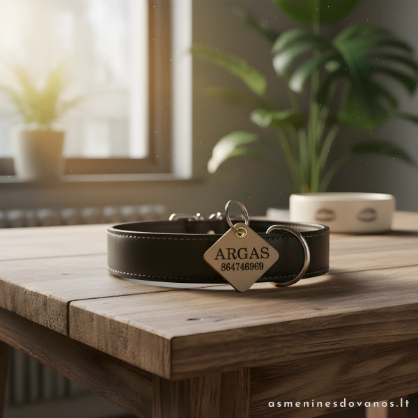 Odinis pakabukas šunims ir katėms. Graviruotas telefono numeris vardas