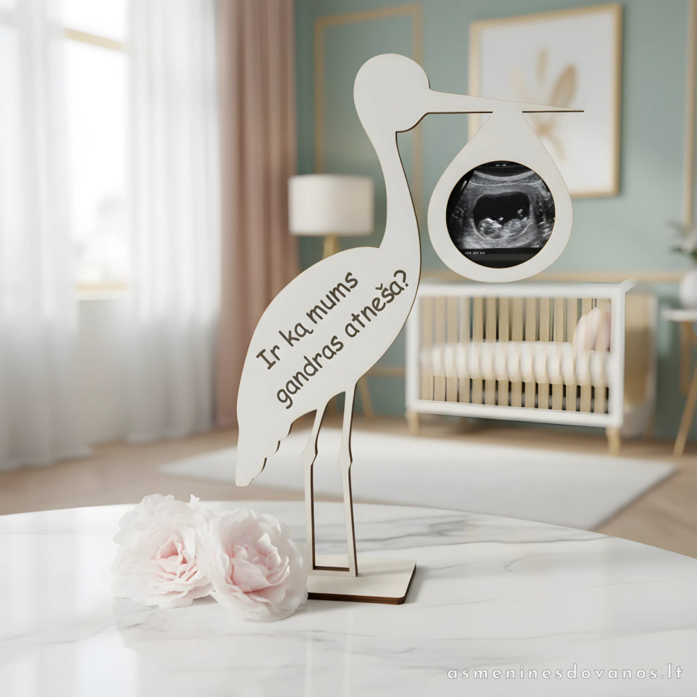 Rėmelis echoskopijos nuotraukai, būsimoms mamytėms, gandro formos