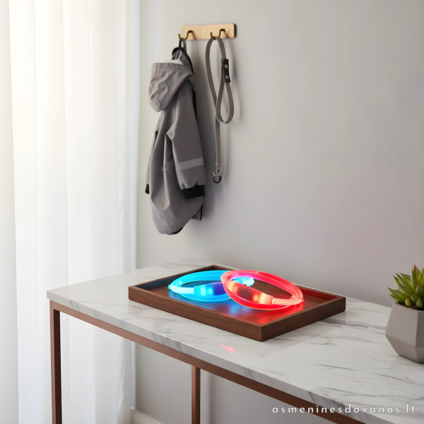 LED antkaklio rinkinys su odiniu pakabuku – puiki dovana šuniui
