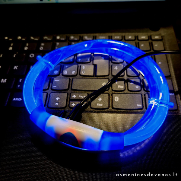 LED antkaklio rinkinys su odiniu pakabuku – puiki dovana šuniui