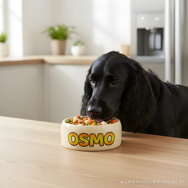 Personalizuotas šuns ir katės dubenėlis su vardu | 250–1000 ml