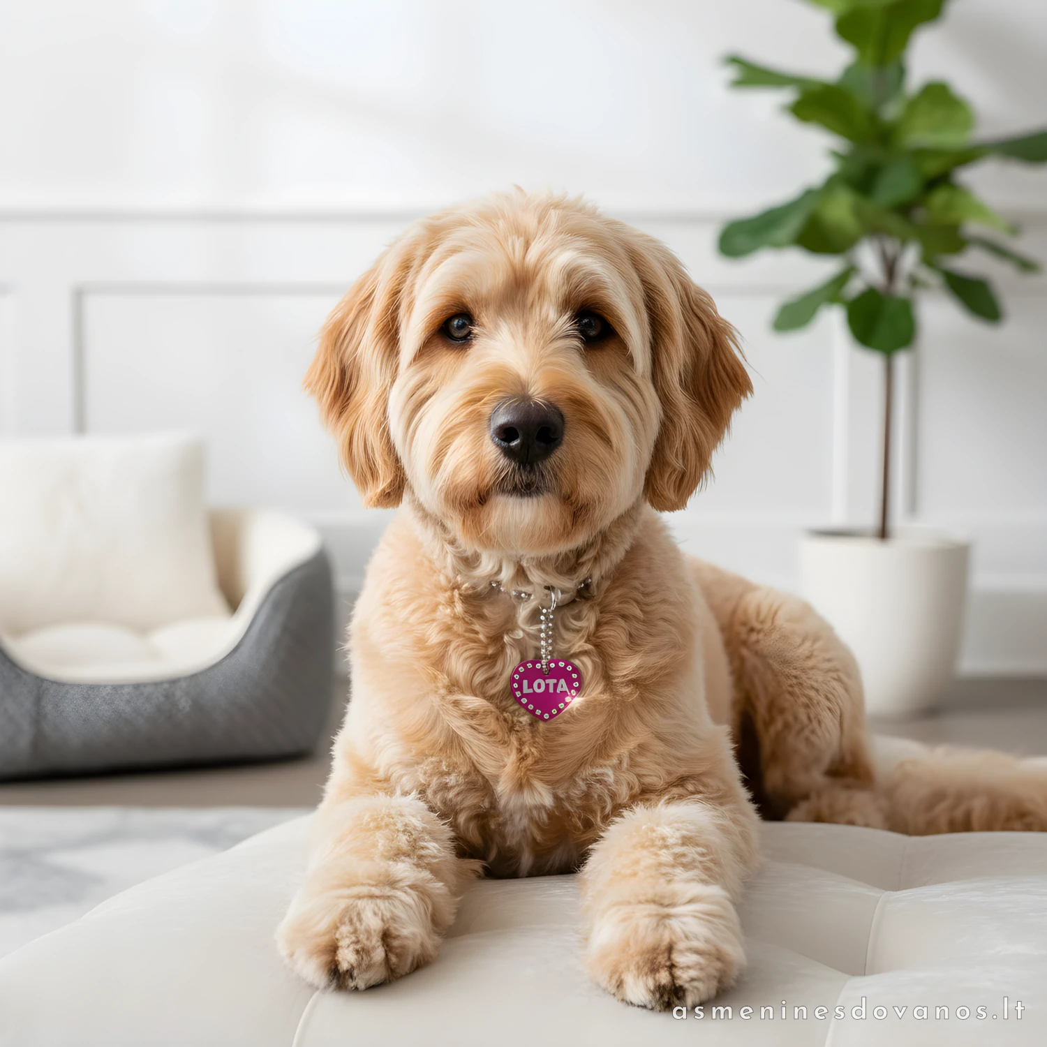 Graviruotas pakabukas augintiniui